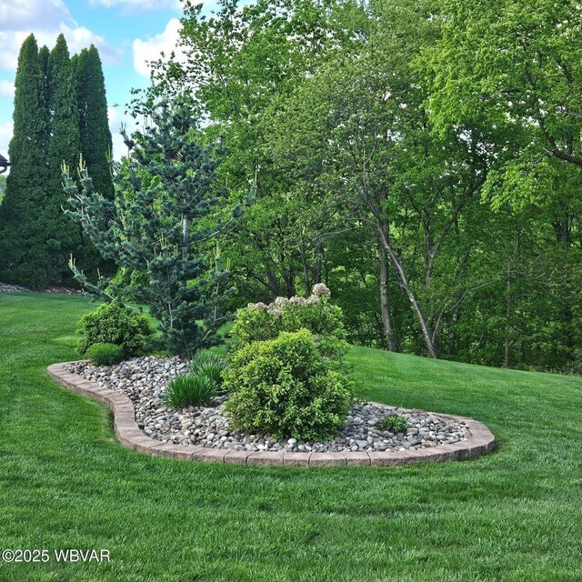 view of green lawn