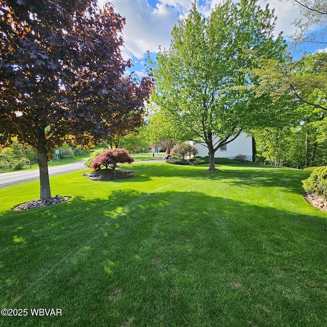 view of grassy yard
