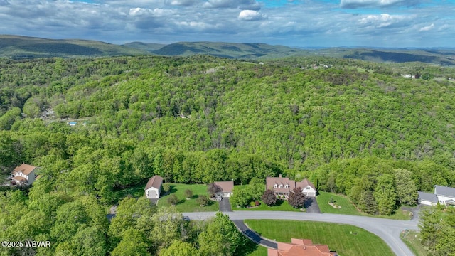 aerial overview of property's location featuring a heavily wooded area and a mountainous background
