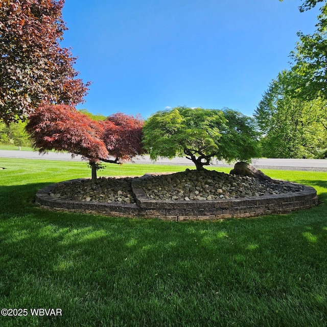 view of community featuring a lawn
