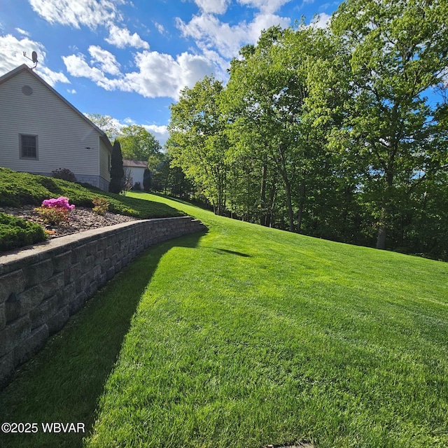 view of grassy yard