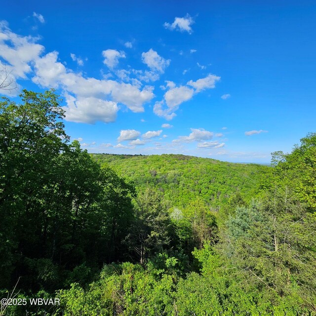 view of wooded area