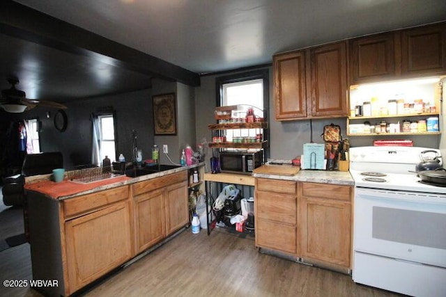 kitchen with white range with electric cooktop, plenty of natural light, and light wood-type flooring