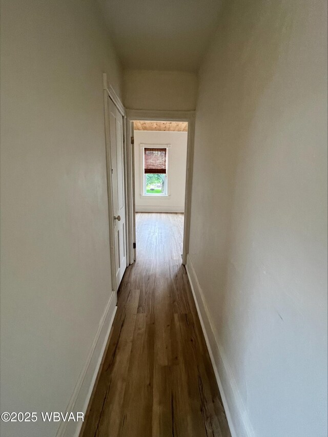 1544 Scott St, Williamsport, PA 17701 - photo 29