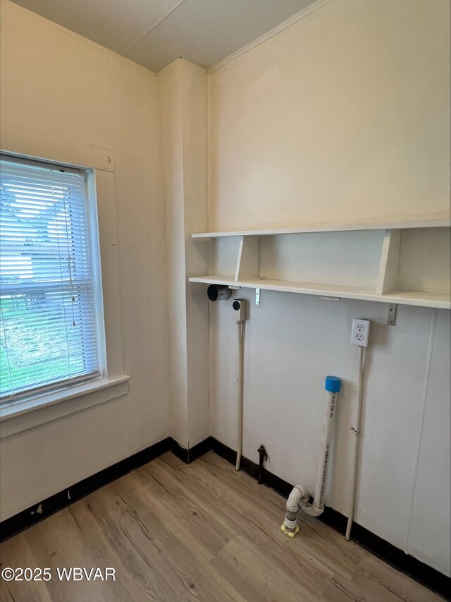 1544 Scott St, Williamsport, PA 17701 - photo 30