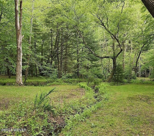 2938 Little Pine Creek Rd, Waterville PA, 17776 land for sale