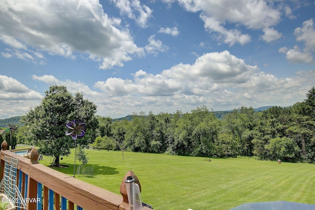 20 Hillcrest Dr, Cogan Station, PA 17728 - view of green lawn