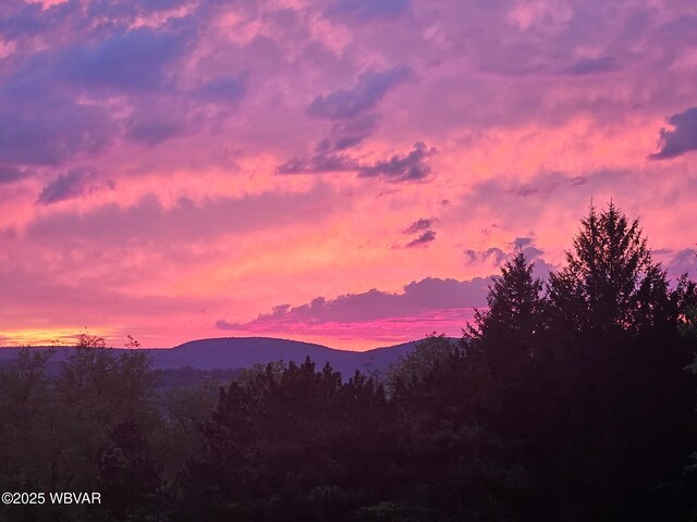 20 Hillcrest Dr, Cogan Station, PA 17728 - view of mountain backdrop