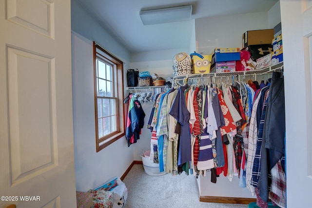 20 Hillcrest Dr, Cogan Station, PA 17728 - spacious closet with carpet floors