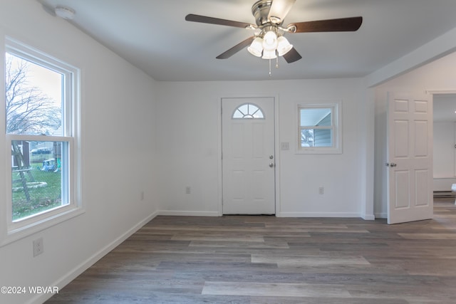 entryway with hardwood / wood-style floors, ceiling fan, and a healthy amount of sunlight