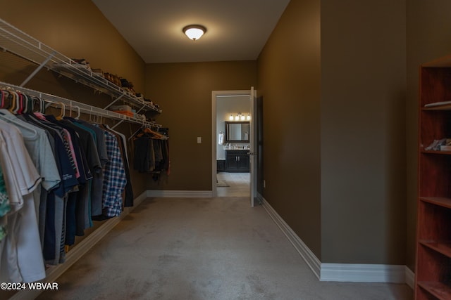 spacious closet featuring light carpet