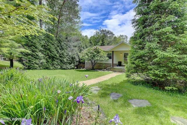 260 Selkirk Rd, Williamsport, PA 17701 - view of grassy yard