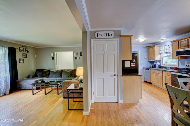 260 Selkirk Rd, Williamsport, PA 17701 - kitchen featuring stainless steel appliances, extractor fan, open floor plan, dark countertops, and light wood finished floors