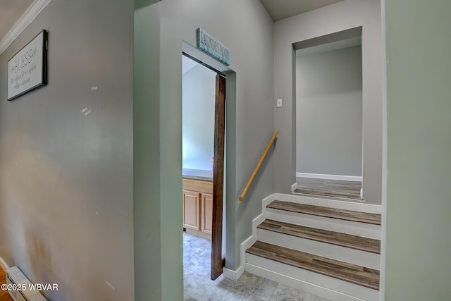 260 Selkirk Rd, Williamsport, PA 17701 - staircase featuring baseboards