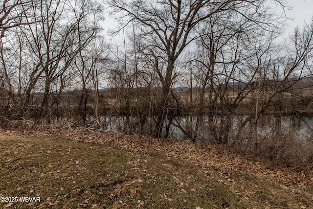 view of local wilderness