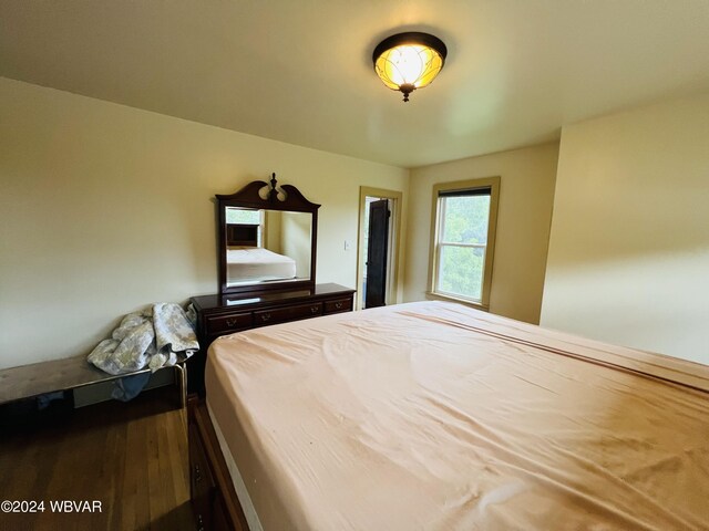 unfurnished bedroom featuring wood-type flooring