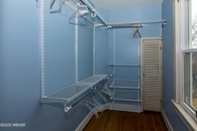 spacious closet with dark wood-style floors