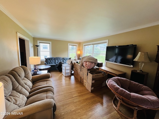 living room featuring light hardwood / wood-style floors and crown molding