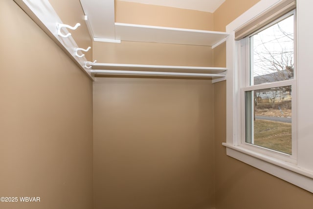 view of spacious closet