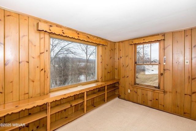 unfurnished room with wooden walls and light colored carpet