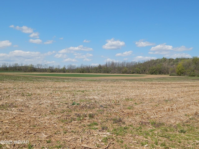 796 Ellis Artley Rd, Muncy, PA 17756 - view of nature with rural landscape