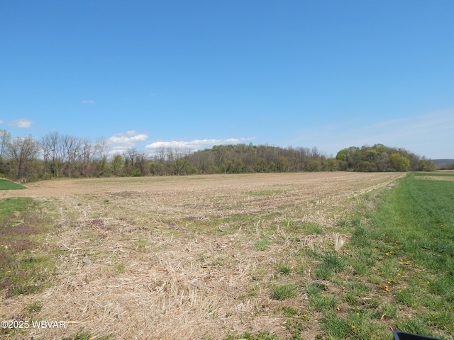 796 Ellis Artley Rd, Muncy, PA 17756 - view of undeveloped land featuring rural landscape