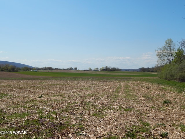 796 Ellis Artley Rd, Muncy, PA 17756 - view of yard featuring a rural view