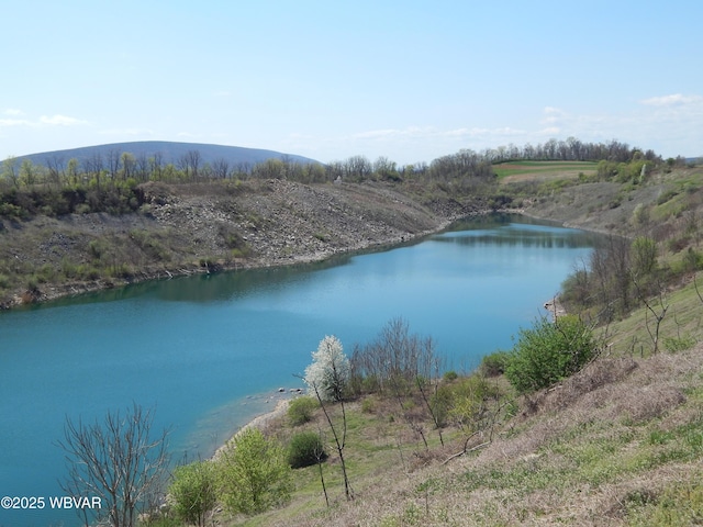 796 Ellis Artley Rd, Muncy, PA 17756 - water view
