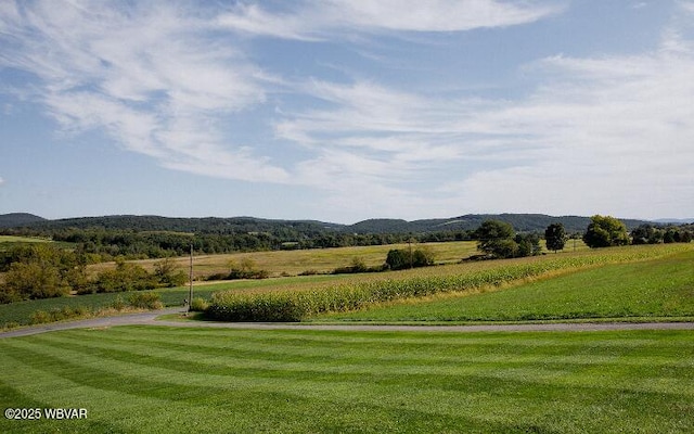 796 Ellis Artley Rd, Muncy, PA 17756 - view of mountain background
