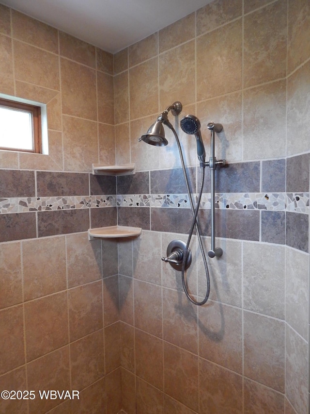 796 Ellis Artley Rd, Muncy, PA 17756 - bathroom view of a tile shower