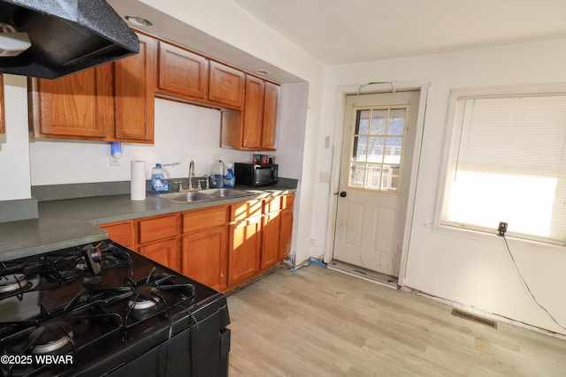 kitchen featuring exhaust hood, black appliances, sink, light hardwood / wood-style flooring, and a wealth of natural light