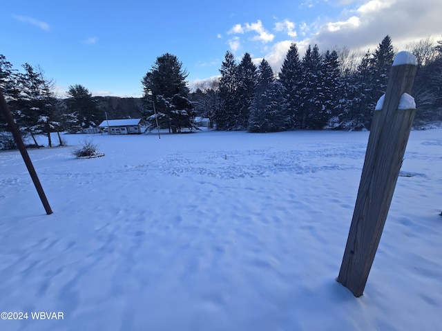 view of snowy yard