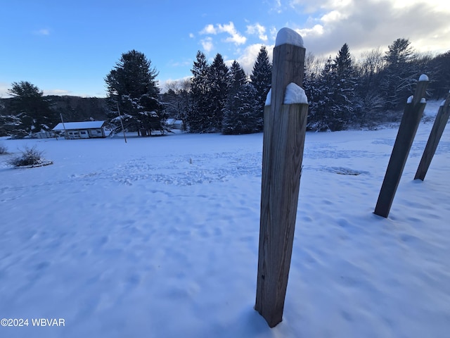 view of yard layered in snow