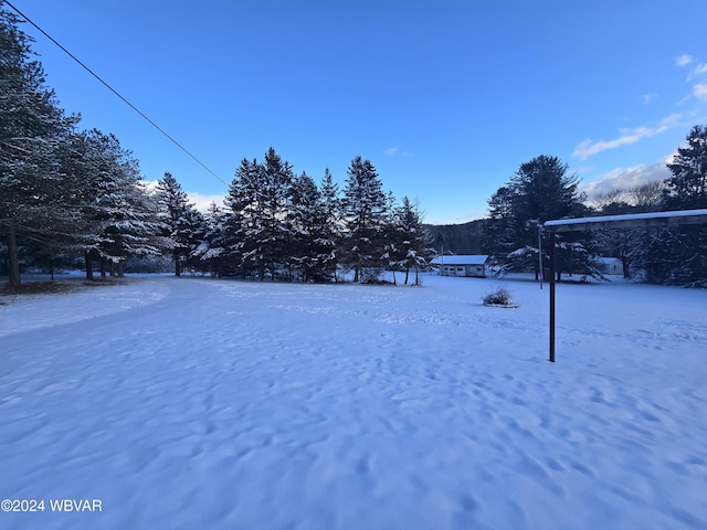 view of yard covered in snow