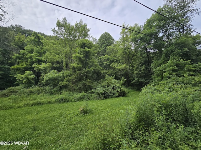 1728 Cement Hollow Rd, Jersey Shore, PA 17740 - photo 5