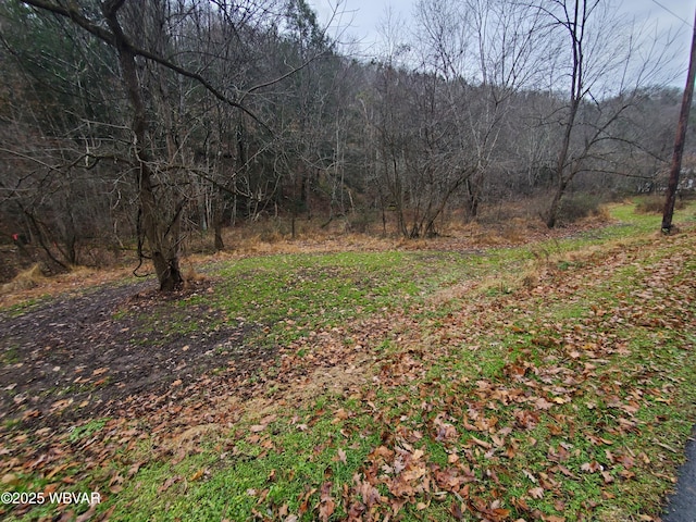 1728 Cement Hollow Rd, Jersey Shore, PA 17740 - photo 4