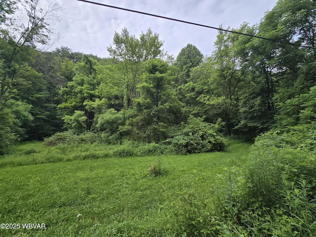1728 Cement Hollow Rd, Jersey Shore, PA 17740 - photo 6