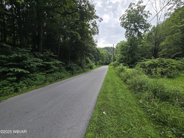1728 Cement Hollow Rd, Jersey Shore, PA 17740 - photo 2
