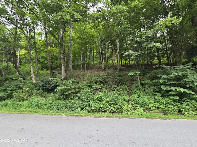 1728 Cement Hollow Rd, Jersey Shore, PA 17740 - photo 3