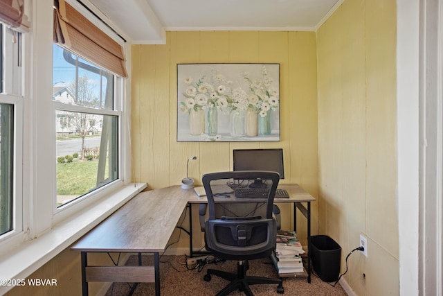office space with ornamental molding and a wealth of natural light