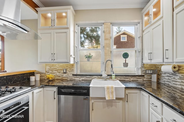 kitchen with decorative backsplash, a sink, ventilation hood, and stainless steel appliances