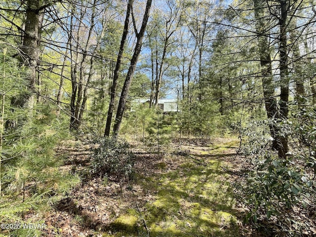 view of undeveloped land