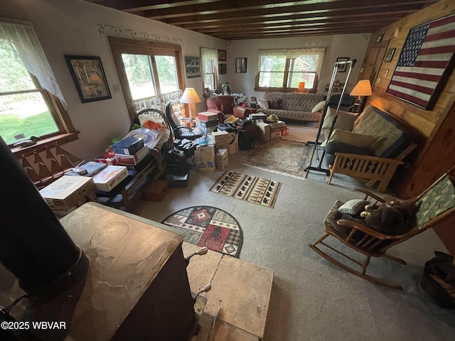 view of carpeted living room