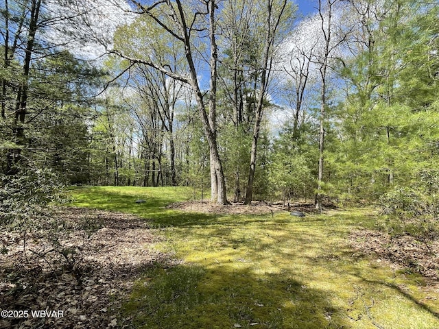 view of wooded area