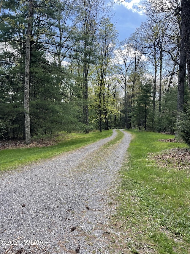 view of dirt / gravel road featuring a wooded view