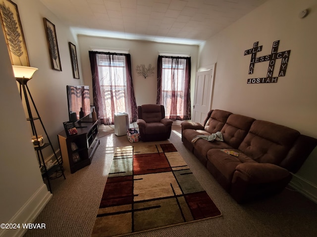 living room with carpet flooring