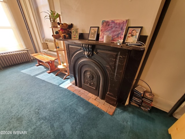 interior details featuring carpet flooring and radiator heating unit