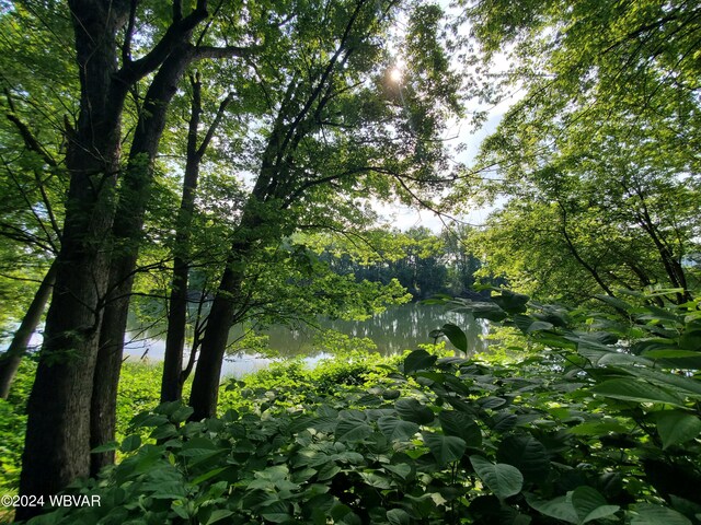 view of landscape with a water view