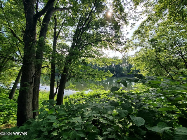 view of local wilderness with a water view