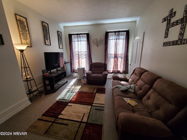 living room with carpet floors